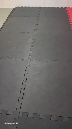 20 placas de tatame por 2700