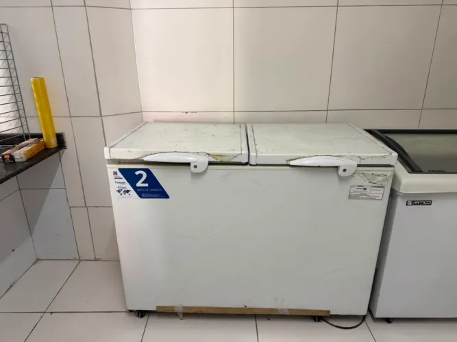 Freezer Horizontal Fricon 2 Portas 503 Litros Branco 110V