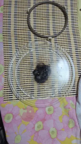 Microondas para retirada de peças/manutenção