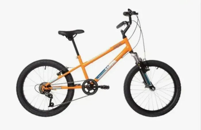 Bicicleta caloi aro 20