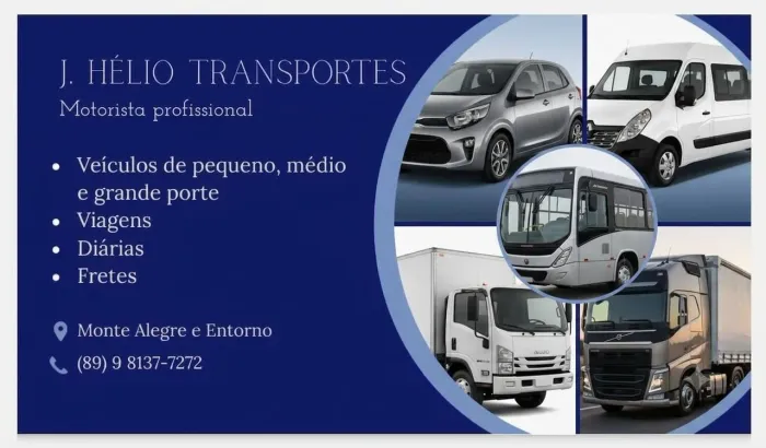 Motorista profissional