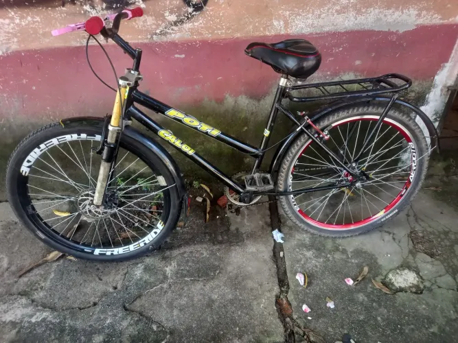Poti 26 normal