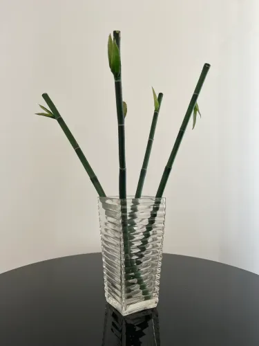 Vaso decoração 