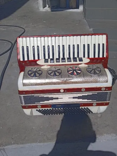 Acordeon Universal 120 baixos 