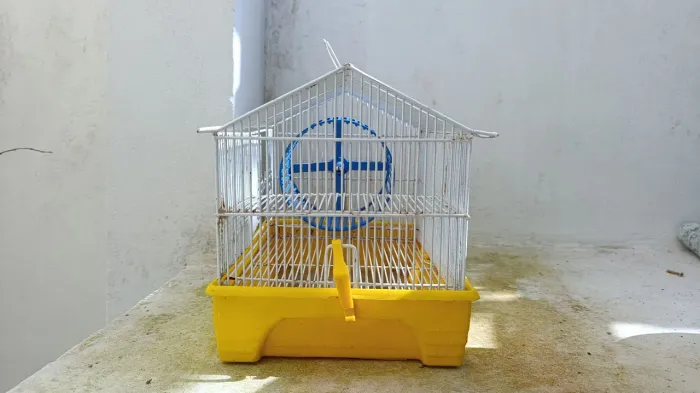 Gaiola hamster