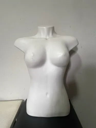 Manequim busto feminino