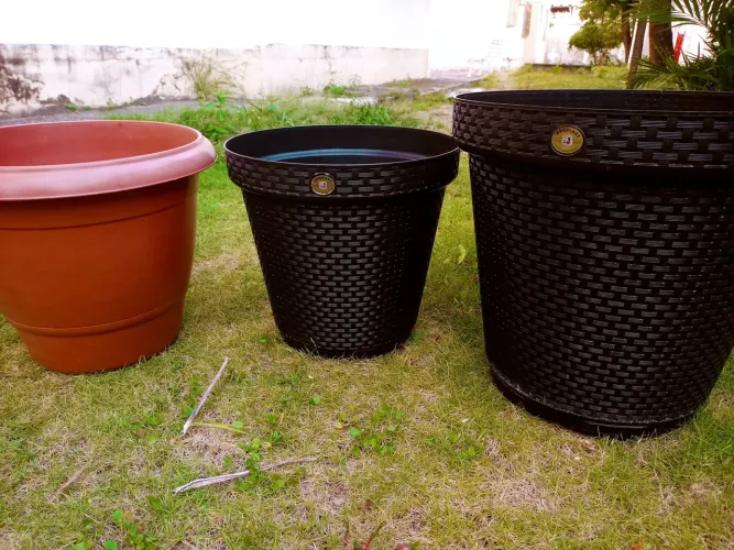 Conjunto de Vasos Planta Jardim