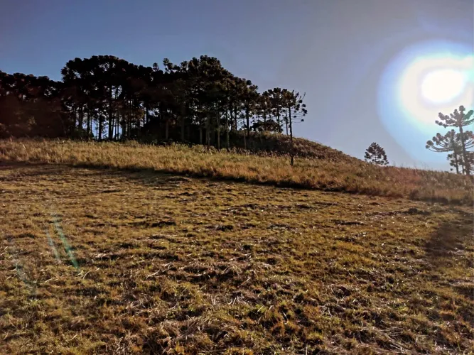 Terreno próximo a Serra do Rio do Rastro
