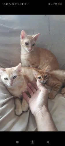 Doação responsável 