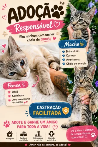 Adote um gatinho