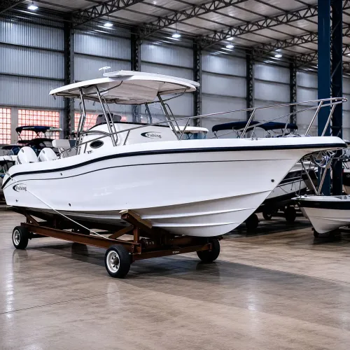 Lancha Fishing 26,5 Pés 2x Motores Evinrude E-Tech 150HP 2007