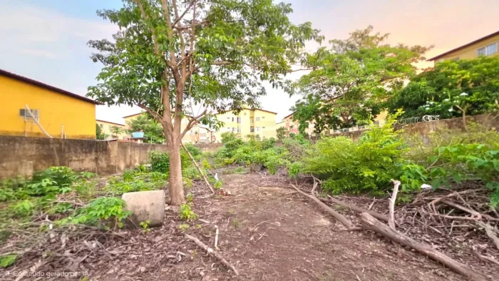 TERRENO À VENDA | 1.000 m² (20 x 50) | Rua Nova Turu | São Luís/MA | Próx. Av. São Luís