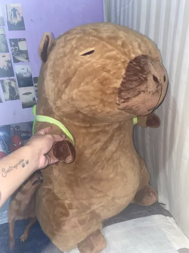 Pelúcia capivara gigante