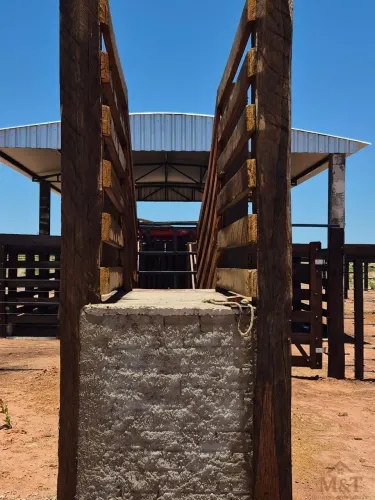 Fazenda no Tocantins estruturada para agricultura e pecuária.