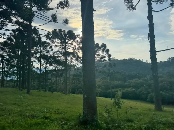 sitio a venda em Rio Rufino