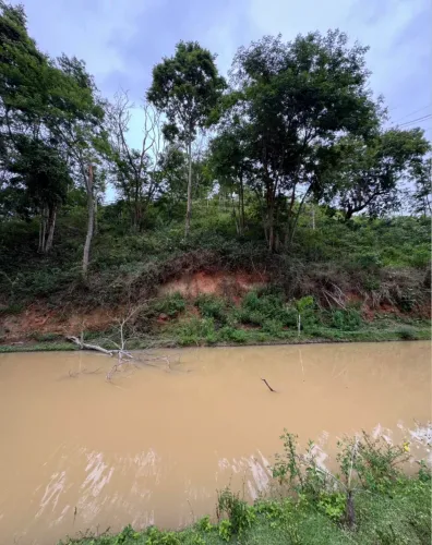 LOTE NO BREJAL