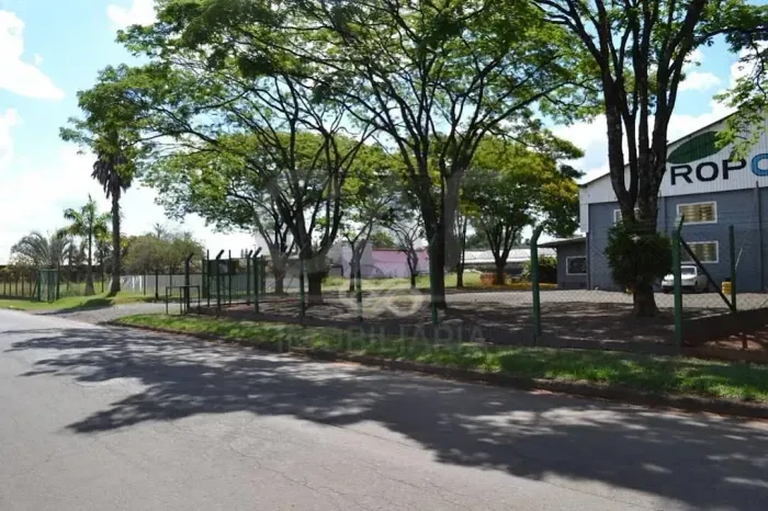 Barracão à venda, 1600 m² por R$ 4.800.000,00 - Palha Grande - Holambra/SP