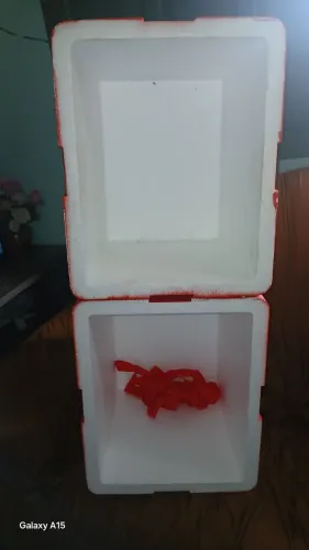 2 caixa de isopor 50,00 reais pra vender logo!