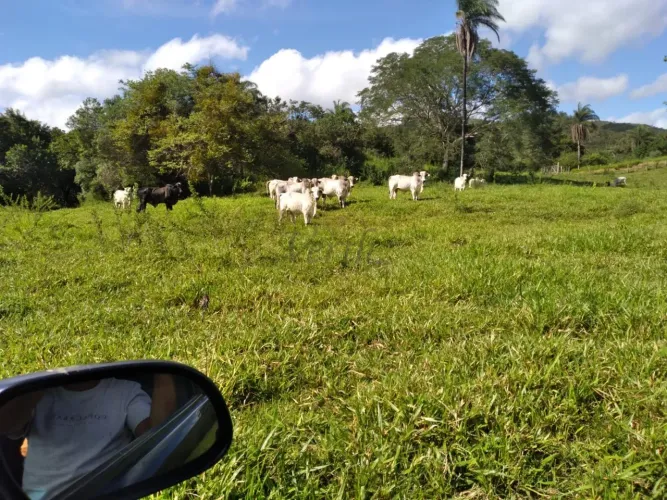 FAZENDA EM DIAMANTINA COM 2.139 HECTARES