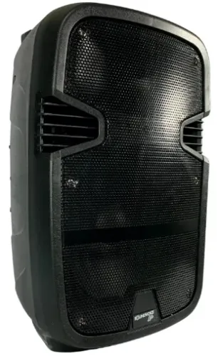 Oferta da Audiovisão: Caixa Amplificada 100W Soundvoice CA-120. Última unidade