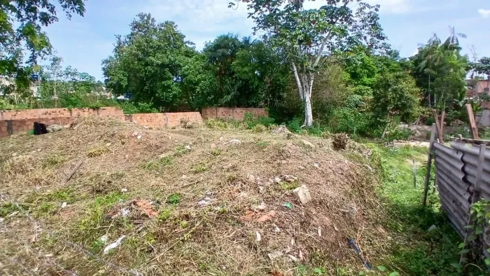 Terreno - de 450 m² à 500 m da Avenida das Torres, BAIRRO NOVO ALEIXO