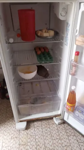 Vende-se geladeira 