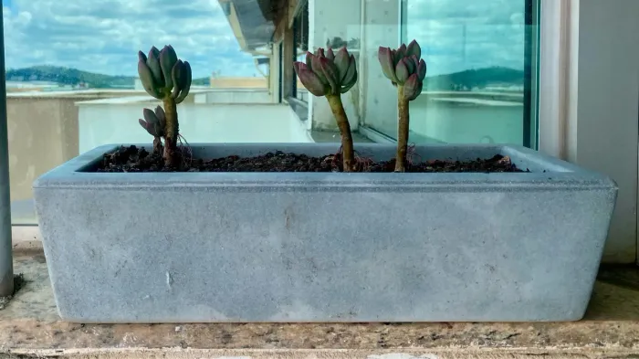 Vaso Concreto - jardineira