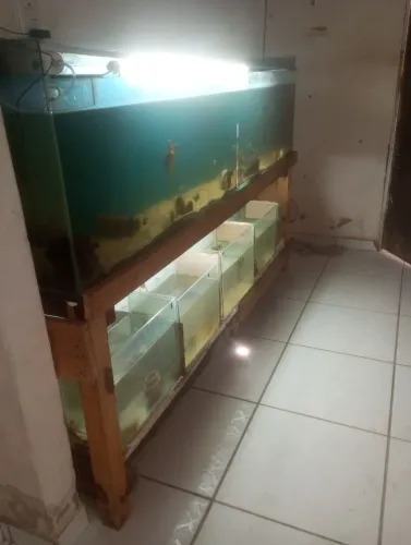 Aquário e acessórios 