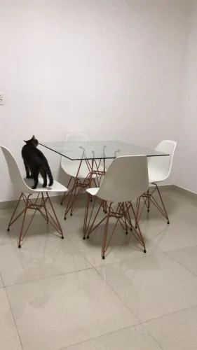 mesa tampo de vidro + 4 cadeiras