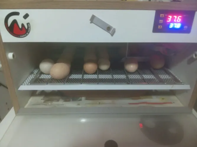VENDO CHOCADEIRA