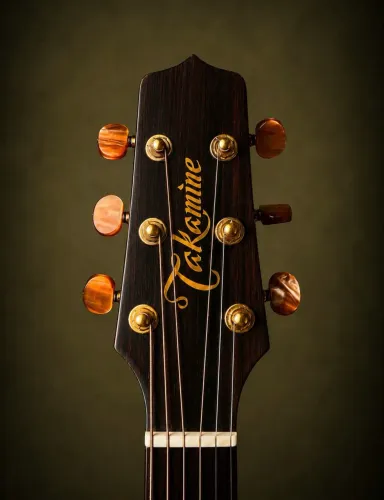 Takamine Japonês ean 10 c
