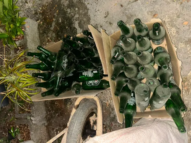 Diversas garrafas de cerveja 