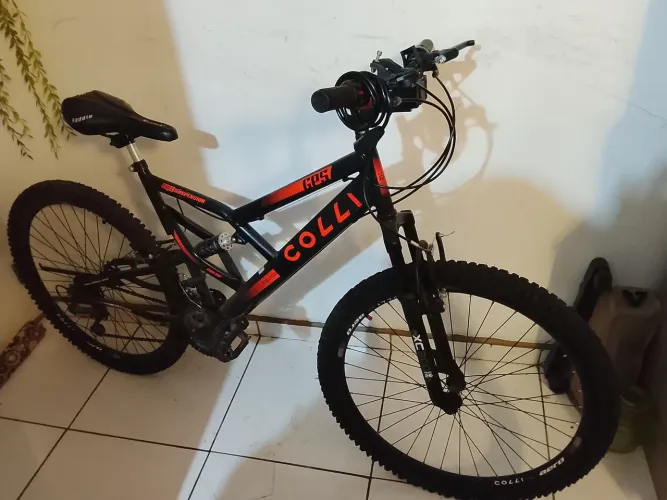 Bicicleta