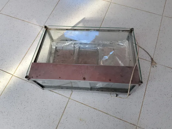 Estufa de salgados