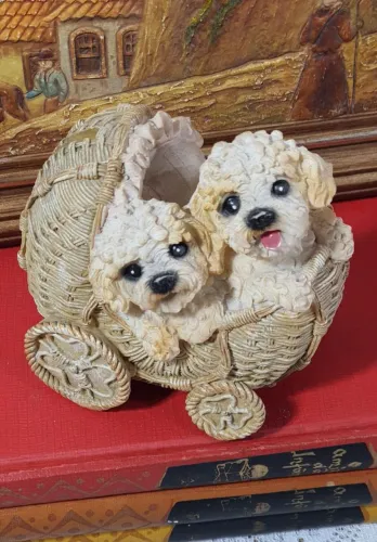 Cofre de coleção em resina