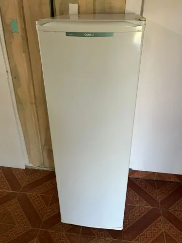 Freezer vertical 