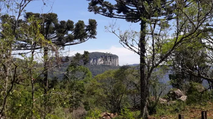 Área de terra a venda em Nova Petropolis.RS Ref.:20