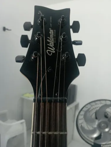 Vendo guitarra waldman GLP250