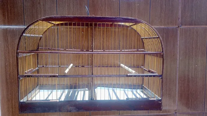 Voador para aves A 0,33 X L 0,22 X C 0,50cm com divisória Semi novo