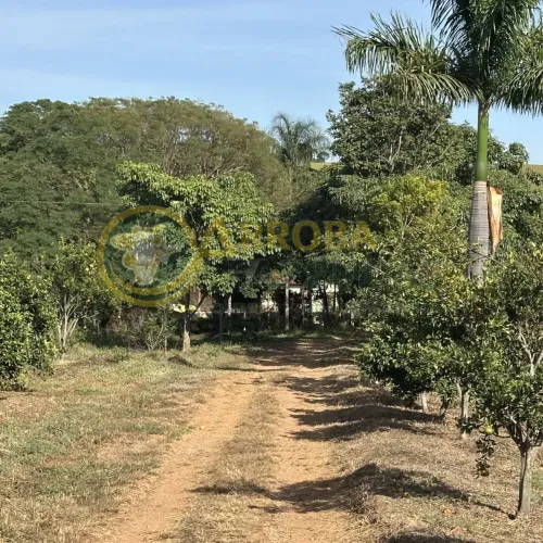 Fazenda Santa Cruz de Goiás - Oportunidade