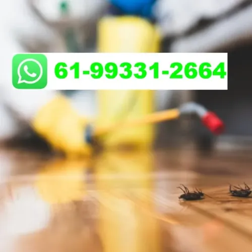 Desinsetização Desratização Dedetização variadas pragas