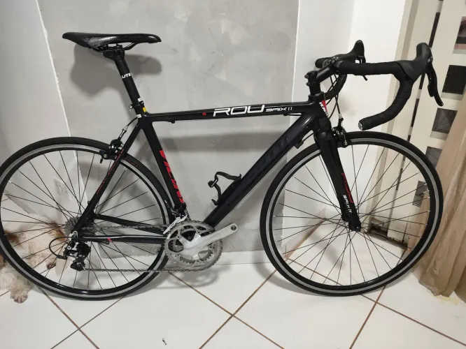 Bike Speed Vicinitech Roubaix II