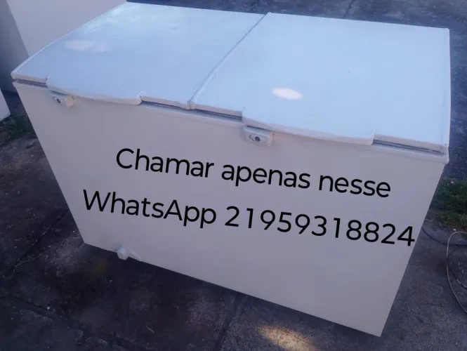 FREEZER ENTREGO DUAS PORTAS USADO 110V