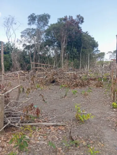 Terreno no morada das palmeiras