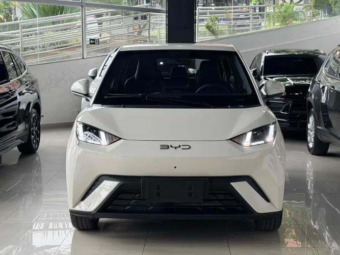 BYD Dolphin Mini (Elétrico) 2027