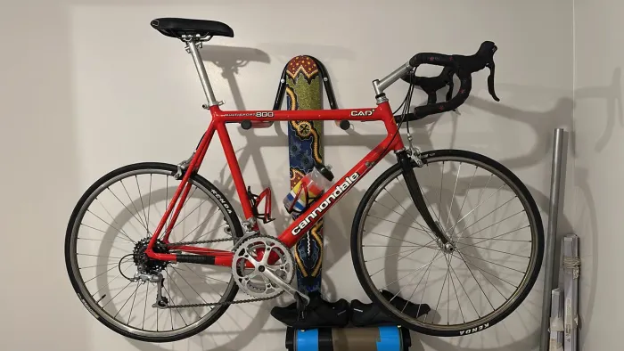 Cannondale Multisport 800
