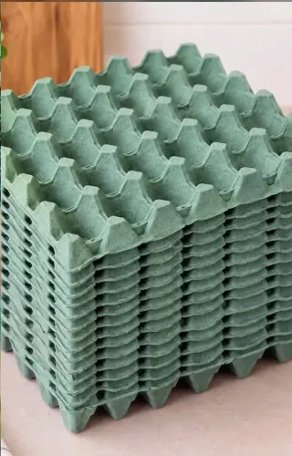 Bandeja de papelão para ovos. Capacidade para 30 ovos