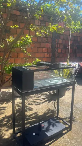 Aquário de 50L