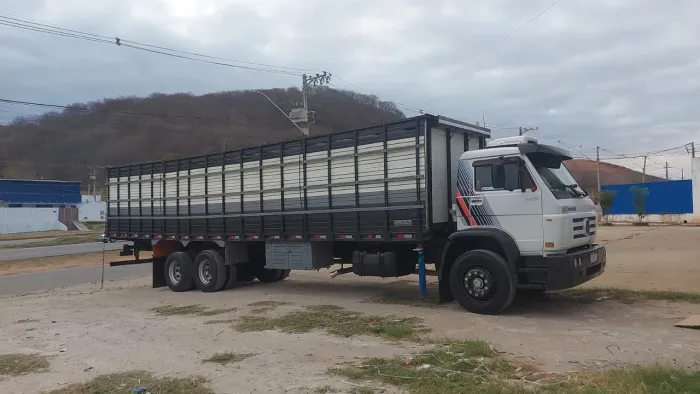 Vw 24220 boiadeiro