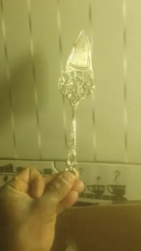 Espátula de prata